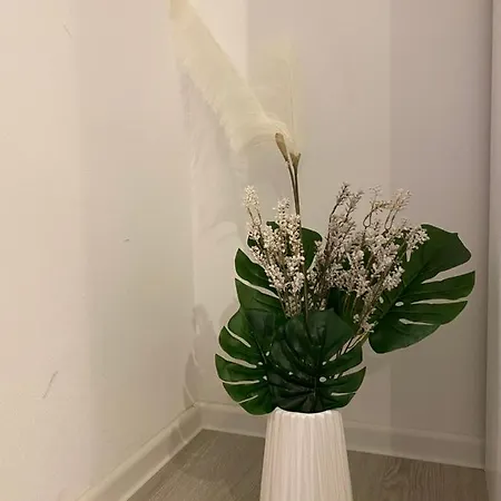 Апартаменти Studio 501 Coresi *